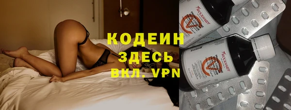 Альфа ПВП Лагань