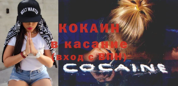 сатива Дубовка